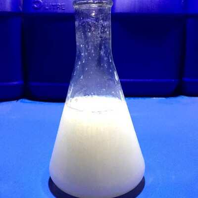 防腐防霉剂 水性漆膜防霉剂 水溶性好易分散TIO-20 干膜防霉剂