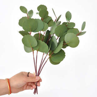 饰植物 尤加利叶批发仿真绿植3D打印圆形手感金钱叶把束桉树带果装