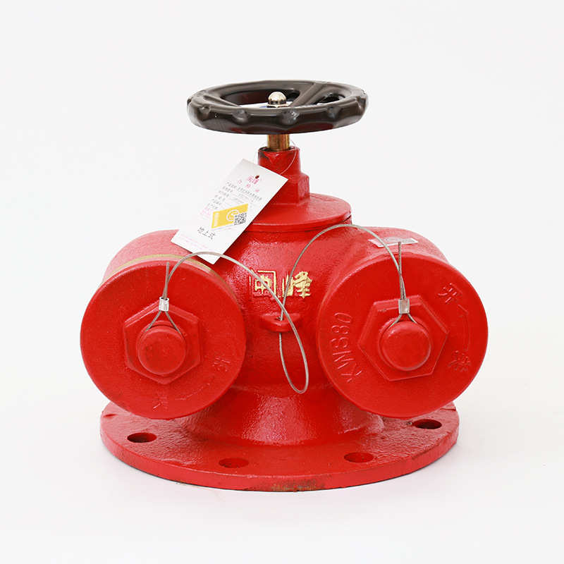 SQD100-1.6多功能水泵接合器 新型水泵结合器150消防水泵结合器