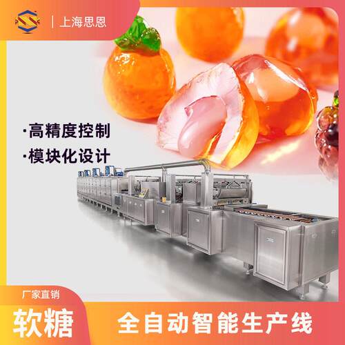 204-SE-350J软糖全自动生产线 糖果浇注成型设备 果糖机