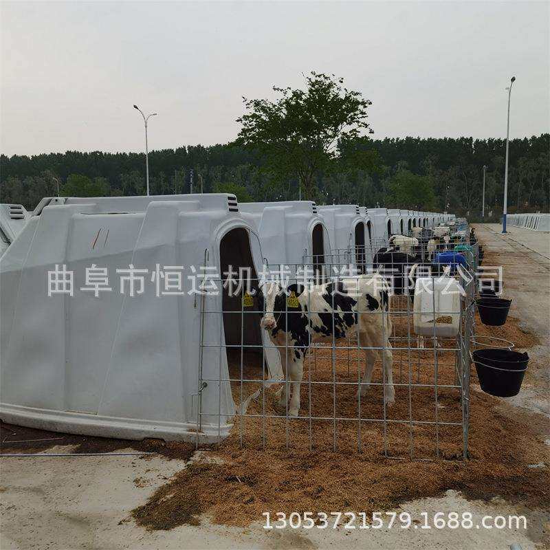 防热防晒犊牛岛小牛犊养殖屋防风保暖断奶乳牛户外养殖