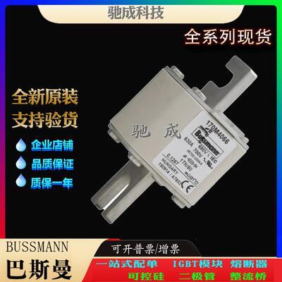 巴斯曼170M4065 170M4066 170M4067 现货供应零售 特种保险丝