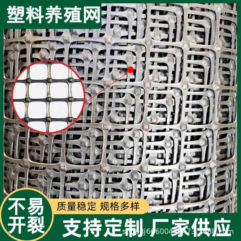 养鸡养鸭圈地塑料养殖网围栏网隔离网抗冻耐热果园圈玉米网防护网