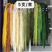 吊米永生花柔丽丝情人泪干 饰婚礼布置悬挂花艺真花婚庆软 干花装