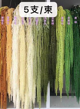 吊米永生花柔丽丝情人泪干 干花装饰婚礼布置悬挂花艺真花婚庆软