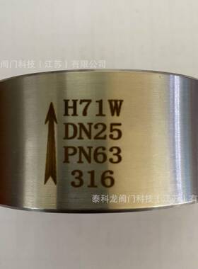 H71W-63PR不锈钢对夹升降式止回阀DN253240506580100