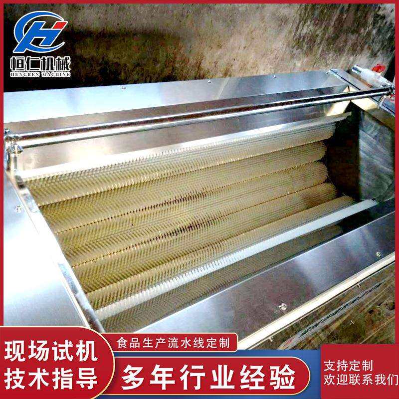 厂家供应钉螺毛辊清洗机 自动出料莲藕去泥毛辊清洗机 山东清洗机