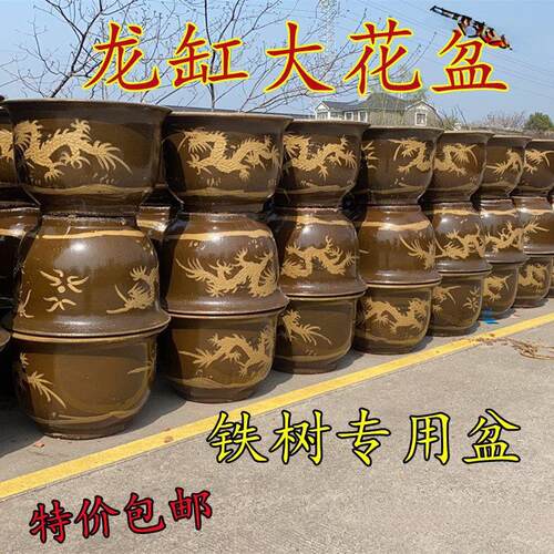 龙缸花盆均釉陶土缸粗陶大口陶瓷特大型家用铁树圆形田园绿植龙盆