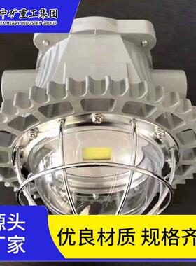 防爆煤矿用LED巷道灯 DGS36/127L矿用隔爆型LED巷道灯