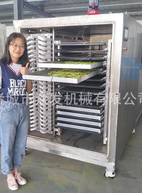 供应胡萝卜玉米粒冻干机低温果蔬冷冻干燥设备面膜冻干粉机器