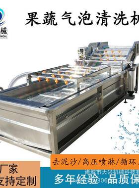 榨菜软包装挑选清洗机苹果葡萄气泡清洗机材清洗加工流水线