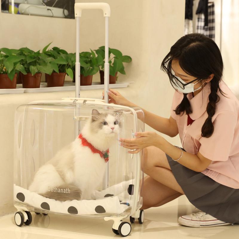 宠物拉杆箱外出便携透明猫包狗狗小推车太空舱两只猫咪超大行李箱