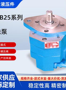 BB-B16A BB-B20 BB-B25 32-D带耳朵锯床摆线齿轮油泵 转子泵