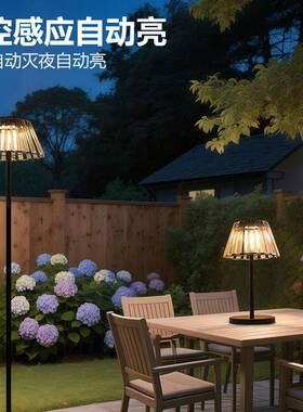 新太阳能款落夜地灯户家FX-TD-13用照明简约庭院草坪外灯阳台充电