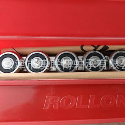 ROLLON导轨滚轮滑块CSTCSW28-125-2RSDEF35610CRPAX30NTE43