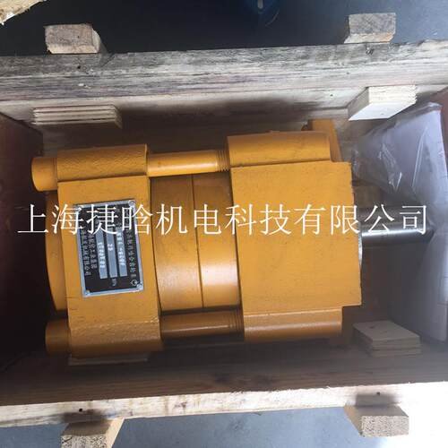 SAEMP上海NB4-G40F 直齿共轭内啮合高压齿轮泵 液压油泵