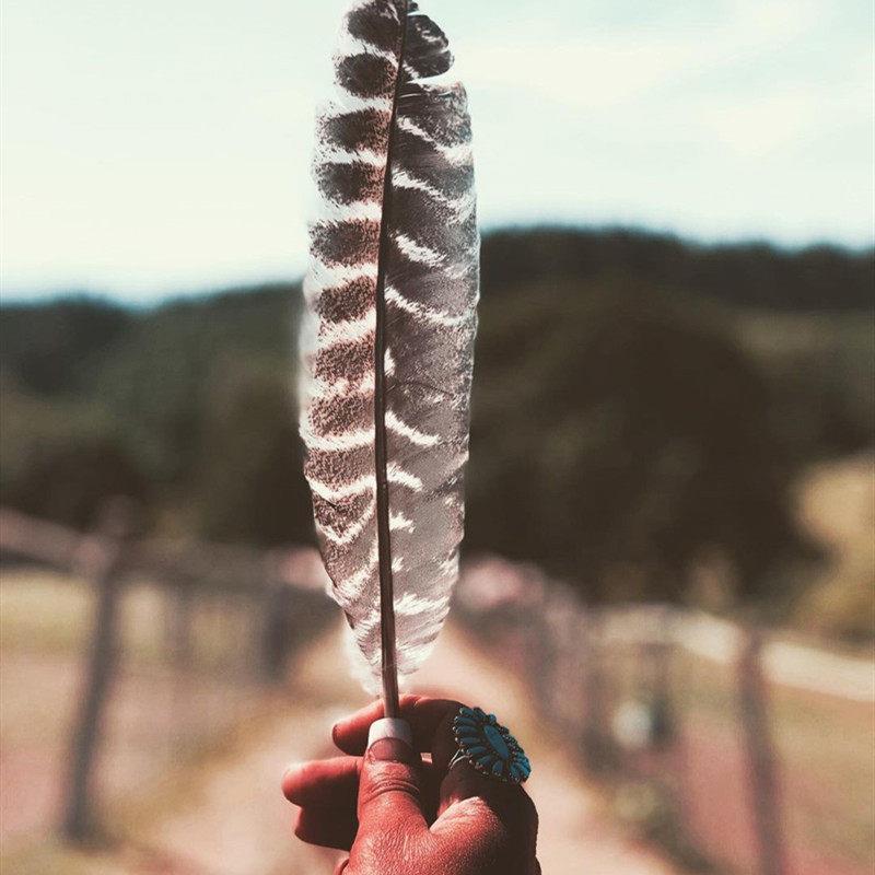 黑火鸡羽毛精选鼠尾草烟熏净化引导控制烟雾方向窝翎羽翎风元素