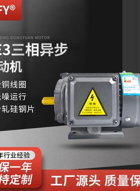 三相异步电动机YE3-160M1/M2/L-8极电机4/5.5/7.5W380V马达