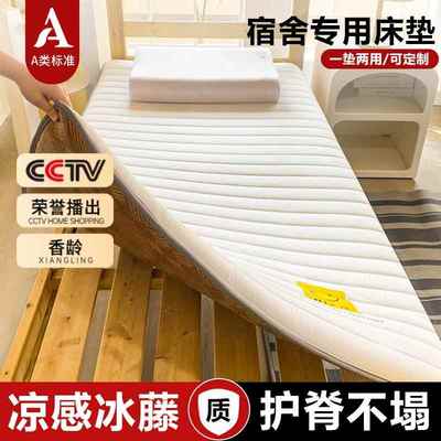 床垫学生宿舍单人床褥垫被家用藤席软垫租房专用双面冬夏两用席子