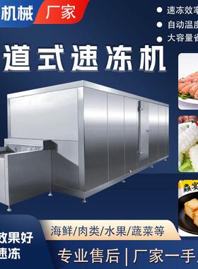 大虾水饺隧道式速冻机肉丸蟹棒汤圆冷冻机食品低温速冻流水线