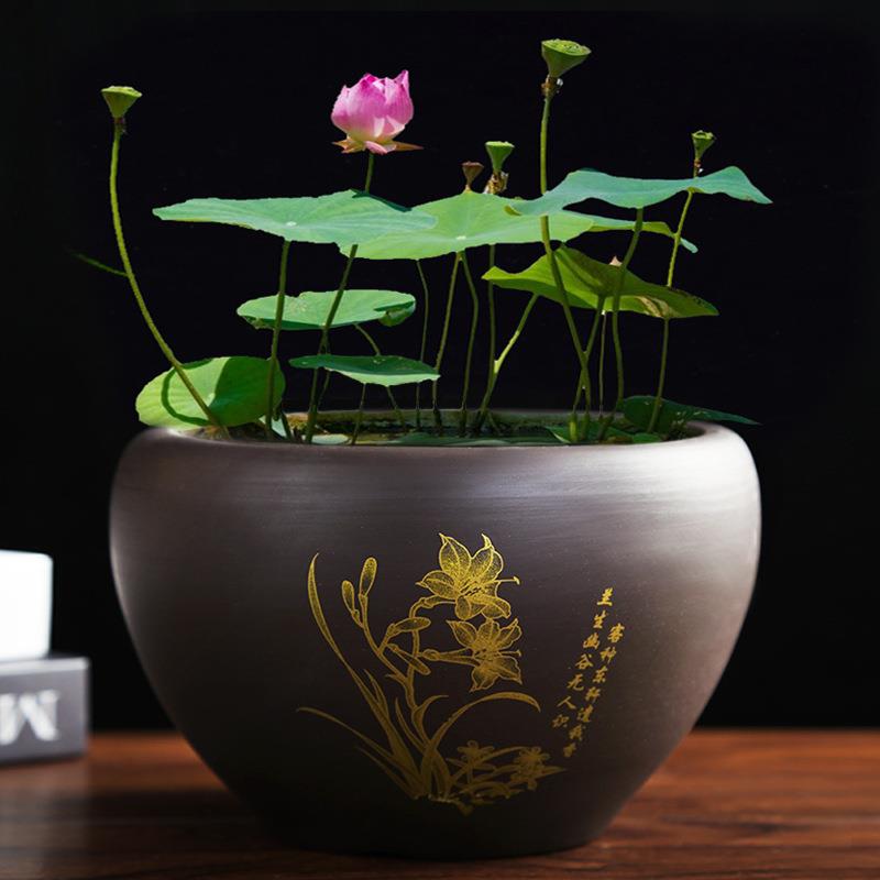 碗莲睡莲紫砂缸室内无孔特大中小号荷花绿萝铜钱草水培花盆陶瓷