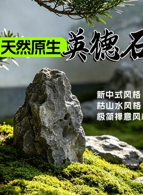 枯山水微景观英德石假山石摆件园林大块日式庭院造景青龙石新中式