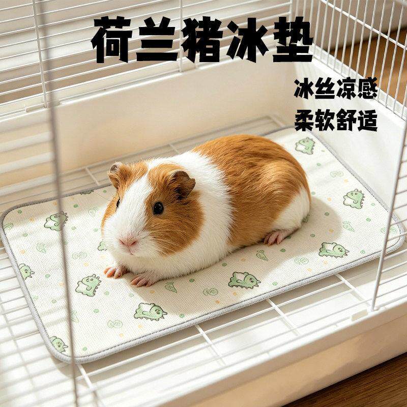 荷兰猪冰垫凉席凉垫降温散热垫子豚鼠专用散热垫板宠物用品神器