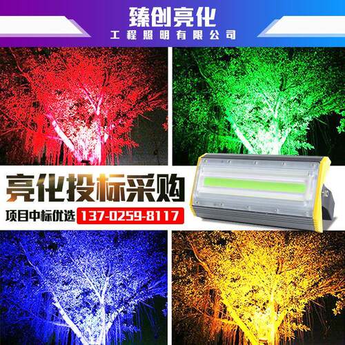 led七彩射灯户外投光灯防水射树灯园林绿化景观照树灯庭院草坪灯