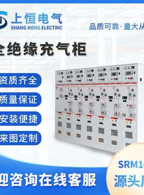 全绝缘充气柜SRM16-12高压开关柜成套设备补偿柜配电箱配电柜