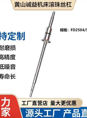 黄山诚益数控机床CK6152/6140x轴滚珠丝杠副2504/55，2504/60