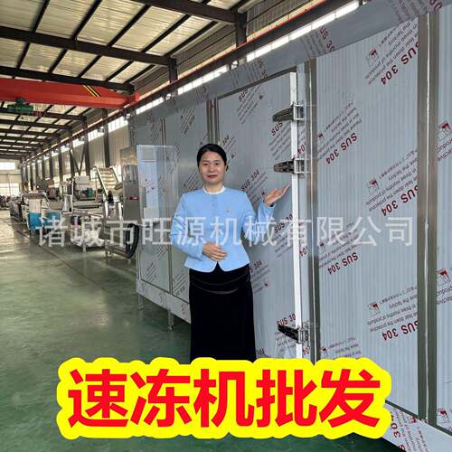 旺源隧道式速冻机 豌豆流态化冷冻线 毛豆冷冻加工生产设备