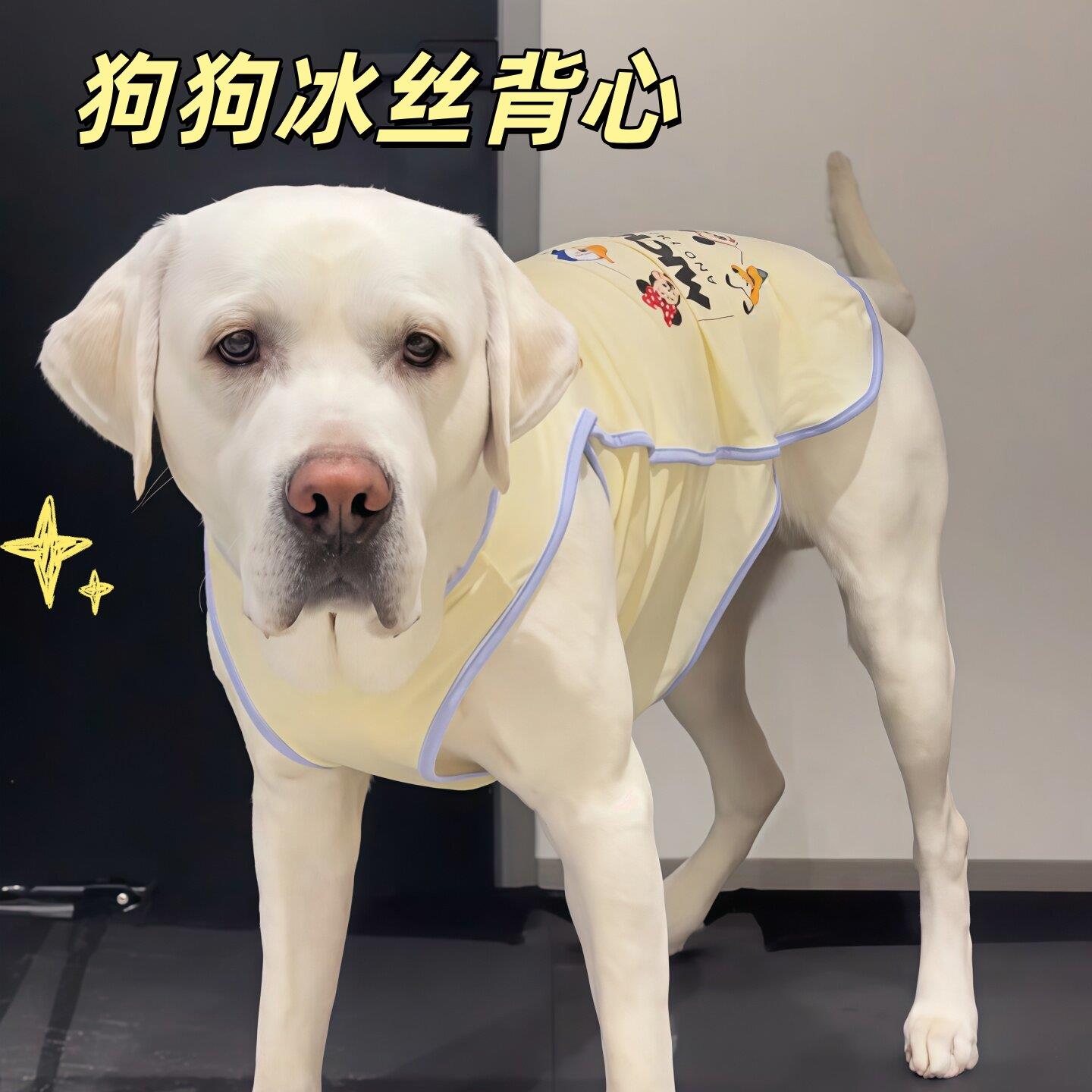 狗狗衣服夏天薄款大型犬高颜值狗狗冰丝背心宠物外出防脏凉凉衣服