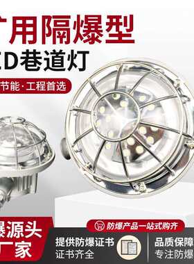 矿用隔爆型LED巷道灯DGS30/127L(A)36瓦圆形铁矿井下防爆灯220V