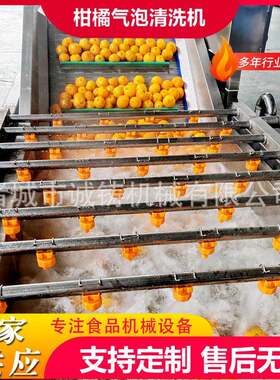 商用果蔬气泡清洗机油杏鼓泡翻浪清洗机蜂糖李去农残气泡清洗机