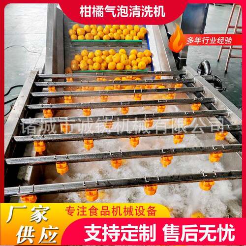 商用枇杷洗果机荔枝去污除杂清洗机304不锈钢莲雾气泡清洗机设备