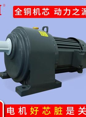 广东惠州厂家减速机380VGH28卧20/立400WG0V式齿轮减LEH速马式达