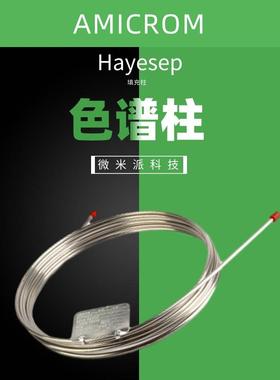 Hayesep T气相色谱柱不锈钢填充柱色谱分析柱气体分离柱国产GC柱