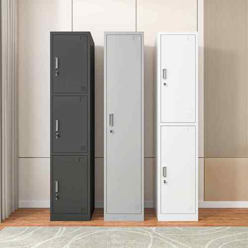 单门更衣柜办公铁皮柜员工宿舍健身房浴室收纳柜钢制带锁简易窄柜
