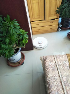 石头扫地机器人T7怎么样用后半年揭秘真实内幕