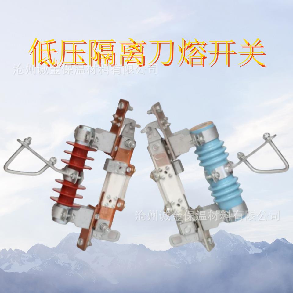 低压隔离开关WTRK2-0.5KV/400A户外隔离刀闸跌落式保险刀熔开关