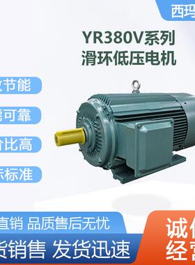 西安电机YR315S-6极110W低压绕线型交流三相异步电动机厂家