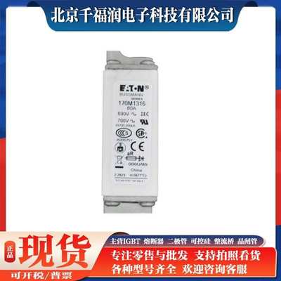 厂家直销170M1316 170M1317 170M1318 快速熔断器 高压熔断器熔丝