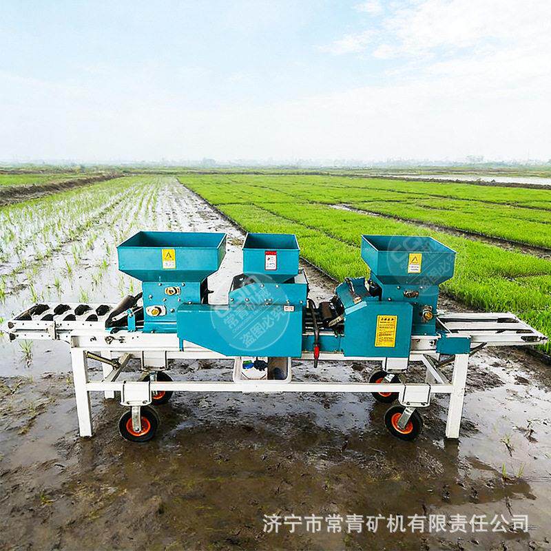 水稻育秧播种机厂家稻谷种子育秧机电动育秧穴盘全自动播种一体机