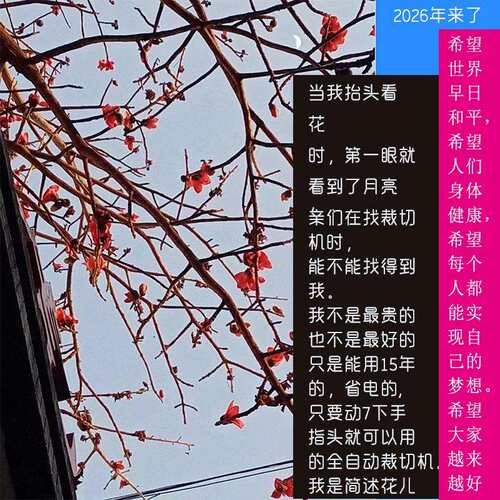 无纺布手提袋布裁布机无纺布过滤网切割机擦拭布60公分宽的切断机