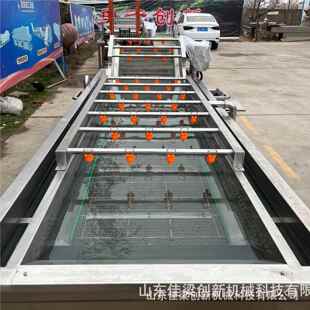锈商用大型不洗钢椿香清洗机苔干叶泡清机全581自动果蔬加工流水