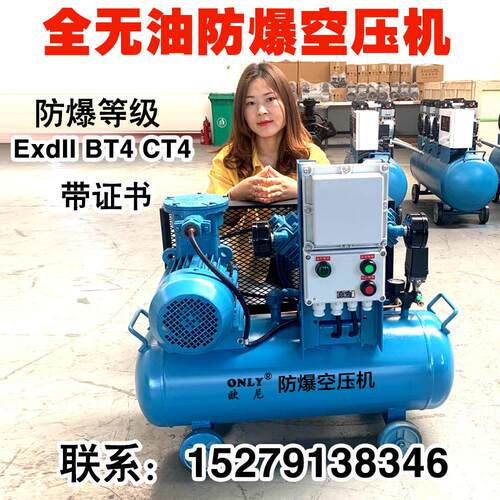 防爆式全无油润滑空压机无油空压机厂家热销供应