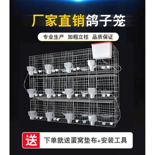 寶鴿籠 鴿子籠家用繁殖配對(duì)籠養(yǎng)鴿子專用肉鴿養(yǎng)殖籠子專業(yè)大型元