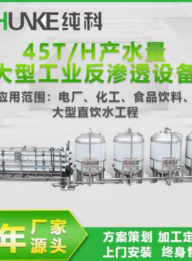 反渗透纯水机10吨20吨40吨50吨100吨反净水设备RO食品化直饮水