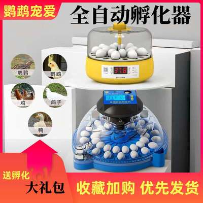 小飞碟孵化机小型家用全自动智能高端孵化器鹦鹉鸽子鹌鹑鸟蛋孵蛋