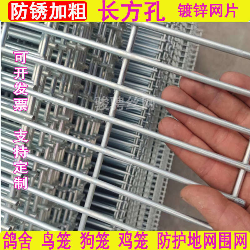 长孔铁丝网围栏防护网镀锌网片网格小孔鸽舍鸟笼狗笼子养殖网地网